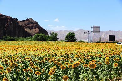 NSO高级会员游戏库今日更新 三款经典游戏入库