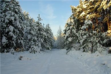 2D节奏音游《节奏灵魂》确定发售家用主机版