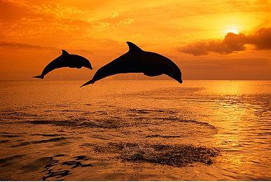 《夺宝奇兵：古老之圈》现已在PlayStation5主机平台开启抢先体验